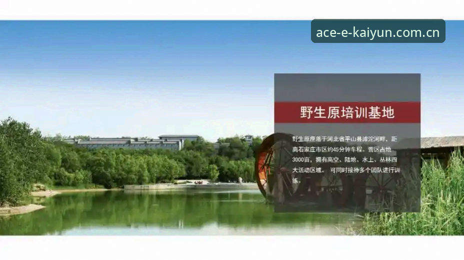 开云体育多元功能详解：技术评测与实战体验